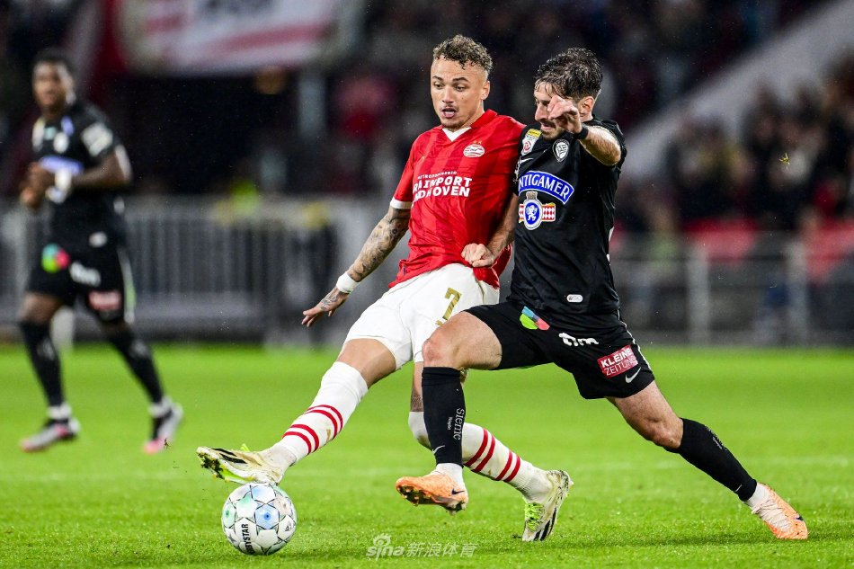 都是不实的 都是不实的